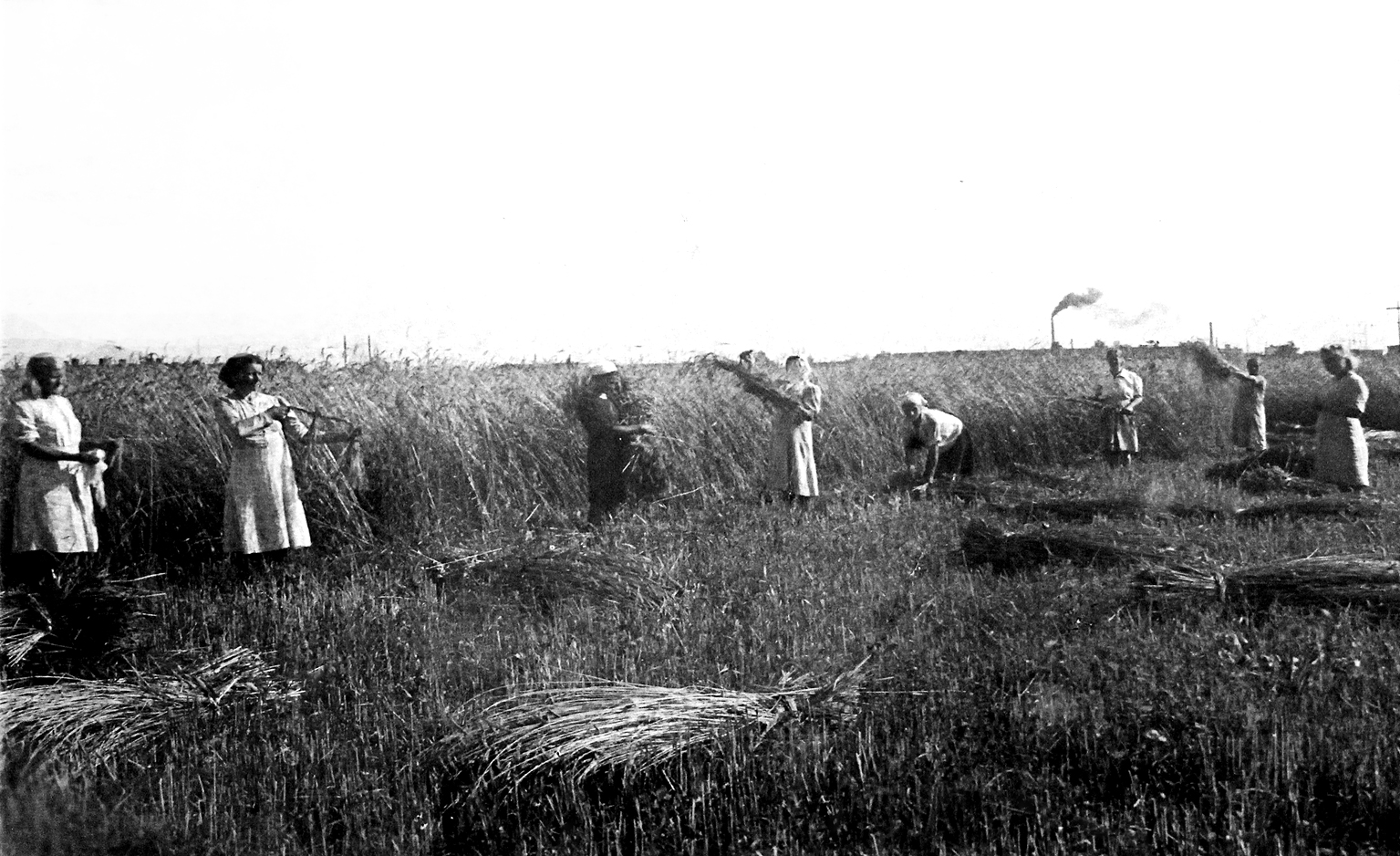 Родина историческое прошлое